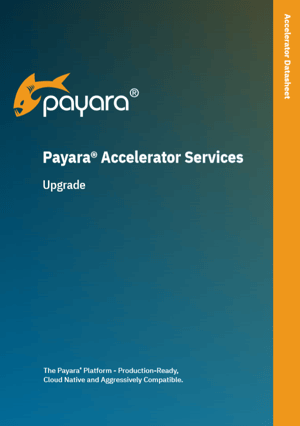 Payara 5 Data Sheet Image.png