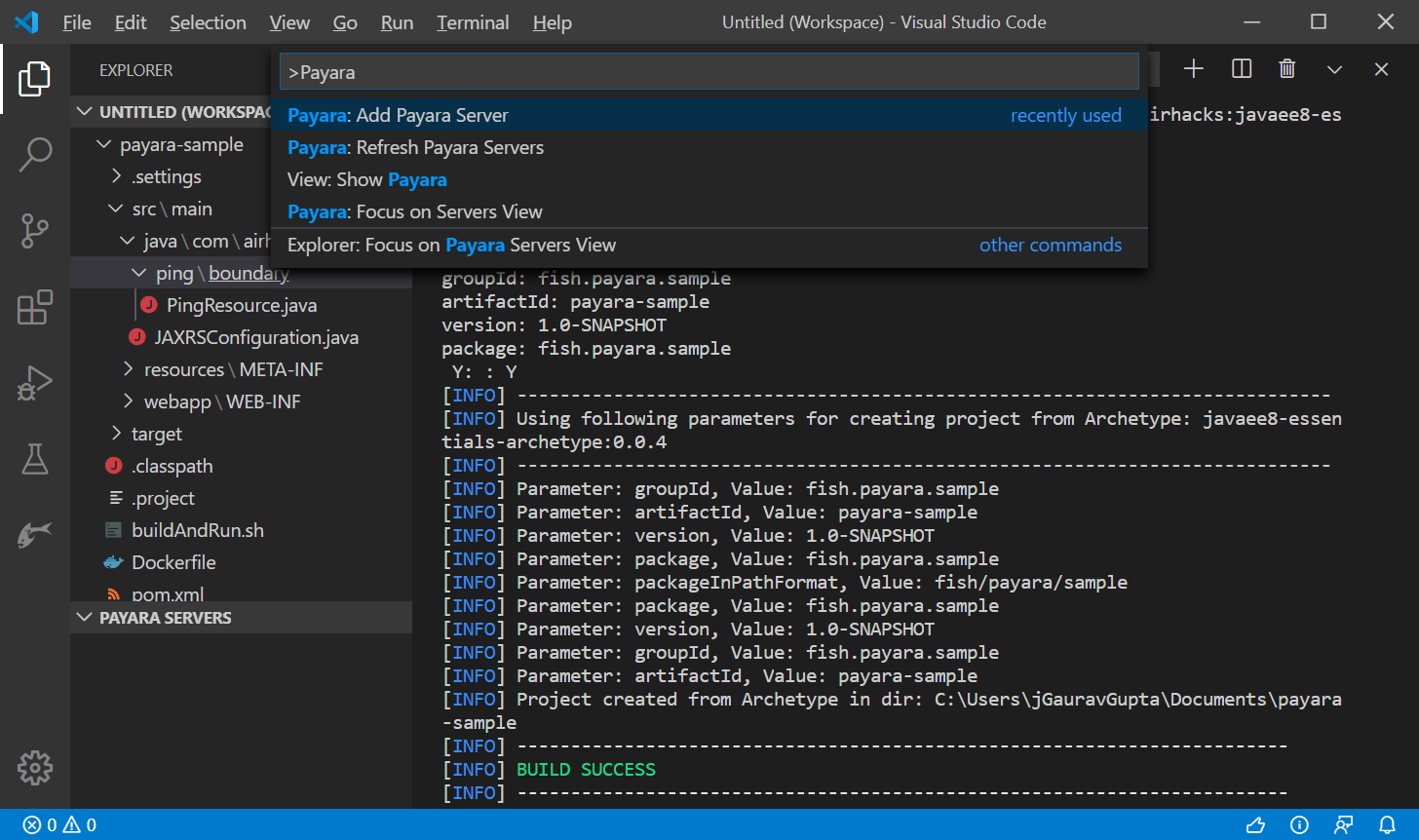 add payara server screen shot
