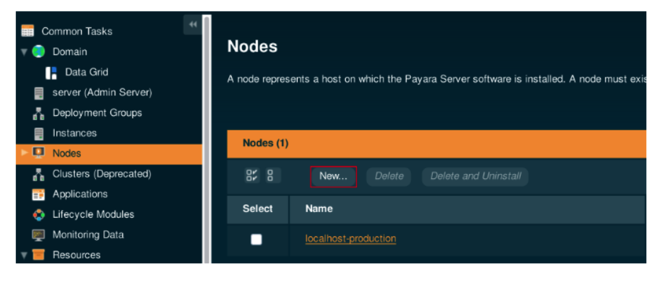 nodes in payara server