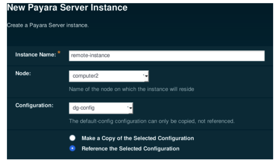 Name a Payara Server Instance