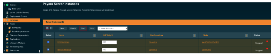 Stopped Payara Server Instance