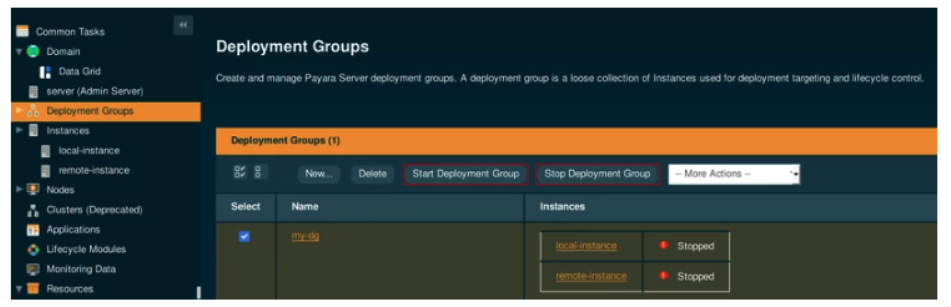 Deployment groups stopped in Payara Server