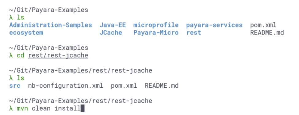 Payara code examples on Github