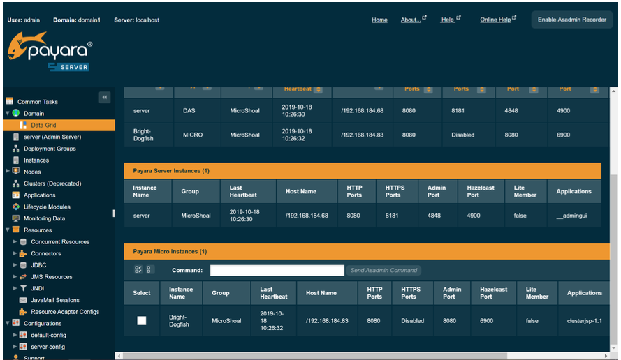 Data Grid Instances Page