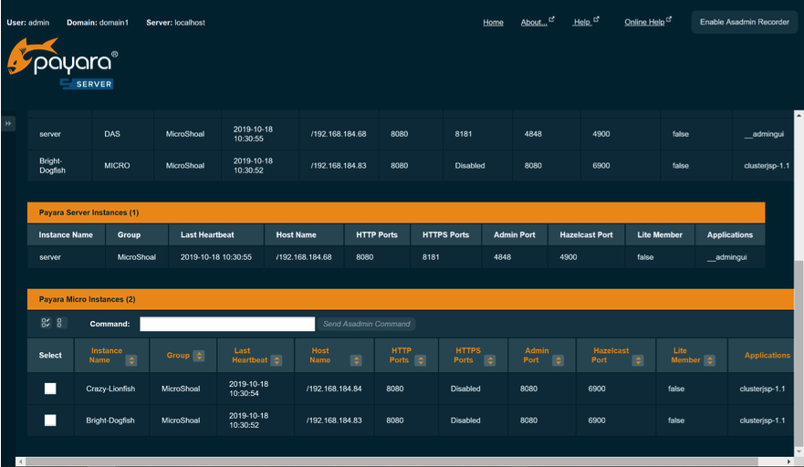 Result of sending Deploy command to Payara Micro Instance