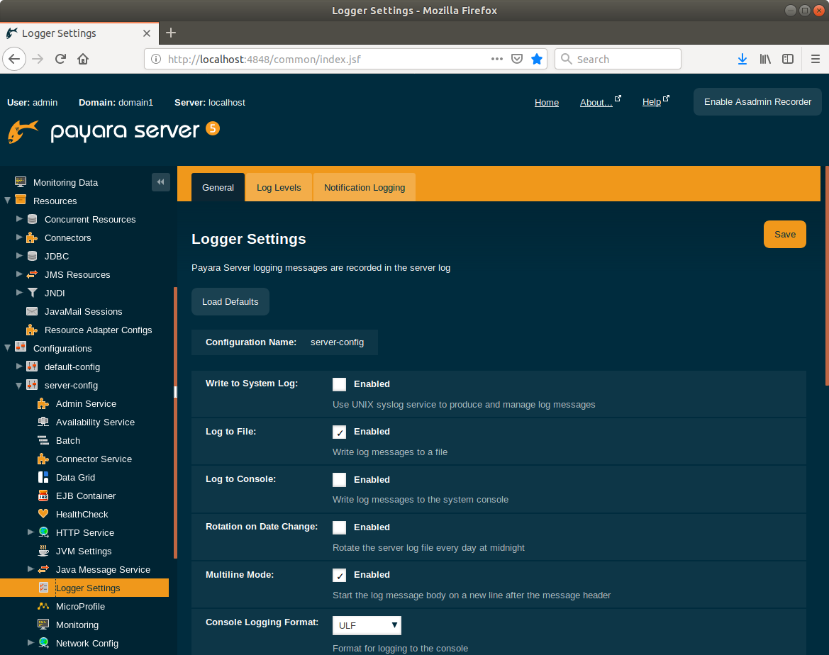 Payara Server Logger