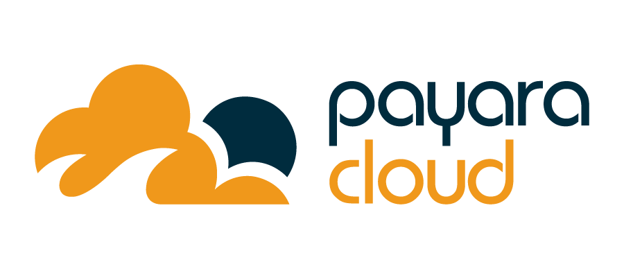 info.payara.fishhubfsPayara Cloud logo