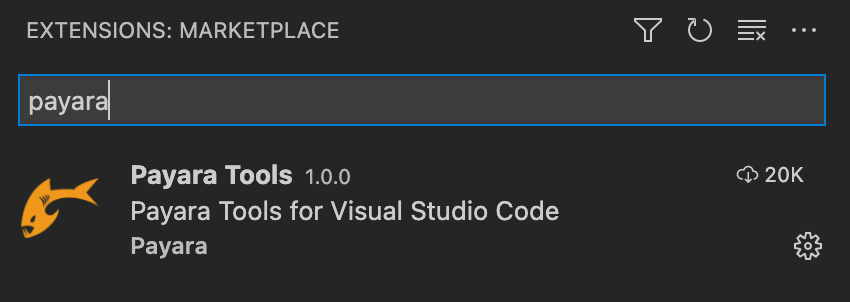 vscode-payara-plugin